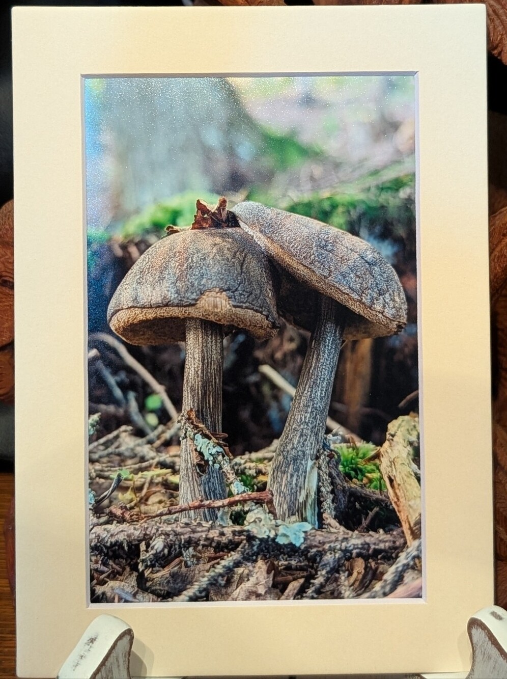 Original Photography Mushroom Love 5x7 Beige Matted Print